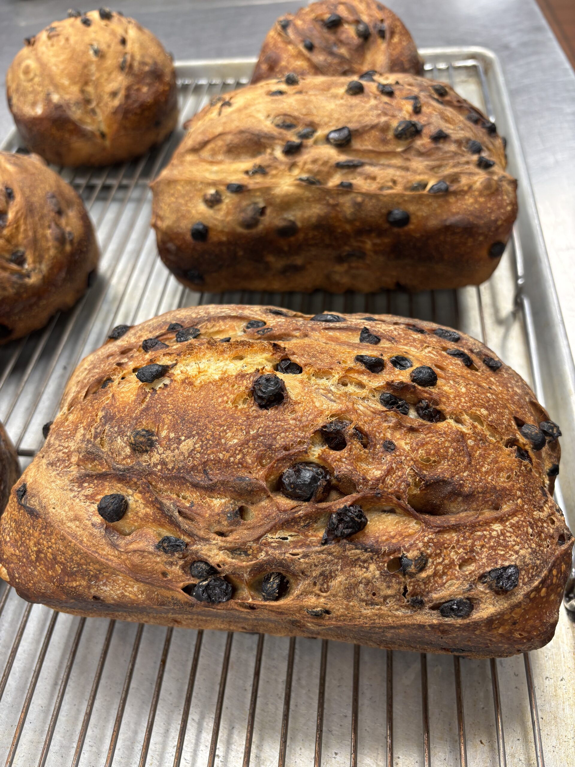 Sourdough Raisin bread